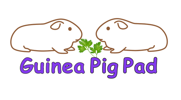Guinea Pig Pad
